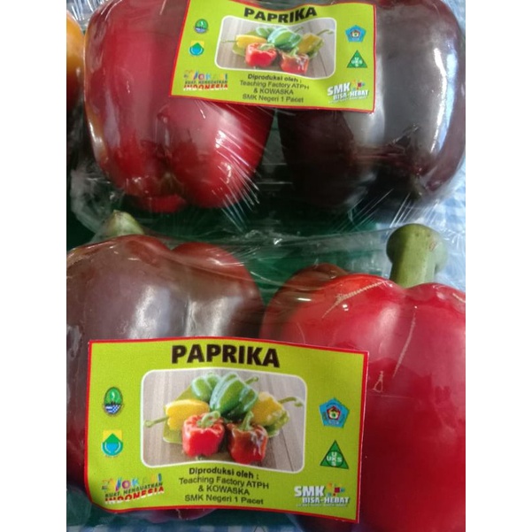 

Paprika Merah Segar