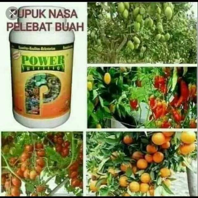 Power nutrition