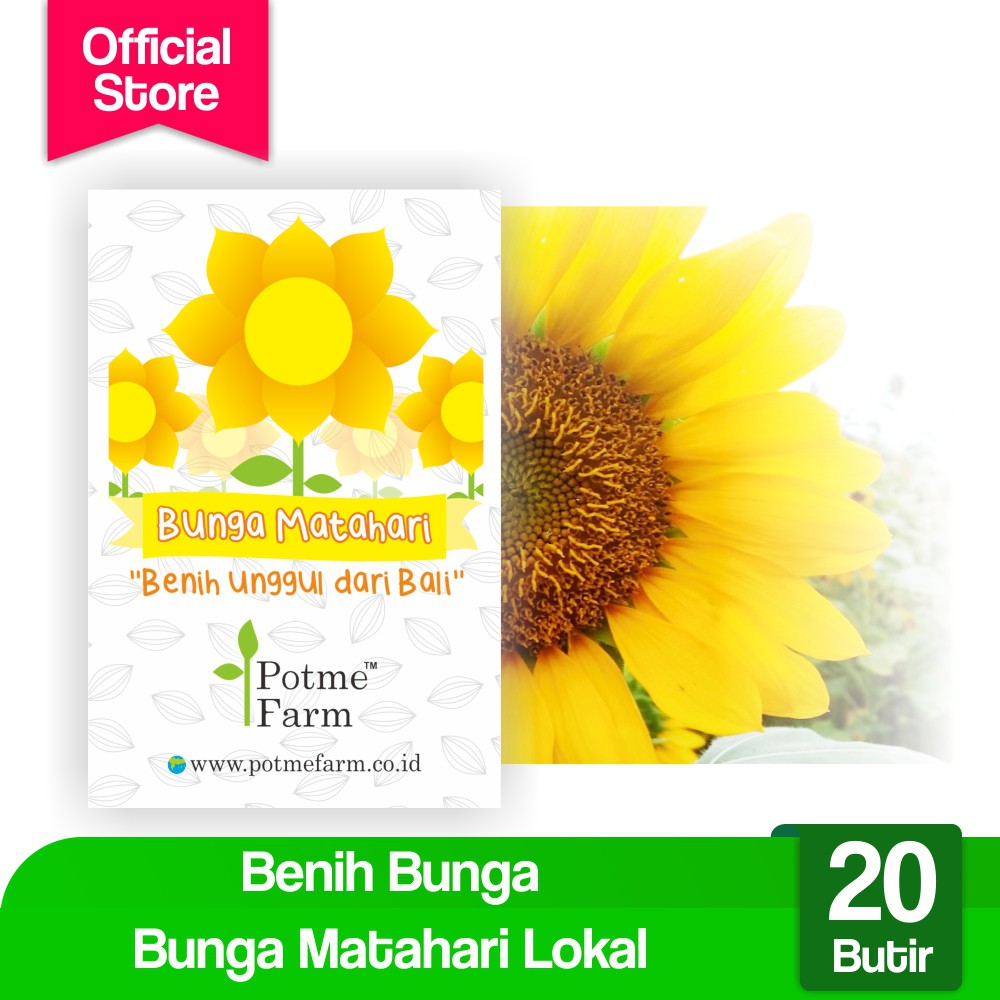 

Benih Bunga Matahari SiLokal (Potme Farm)