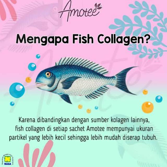 AMOTEE ORIGINAL NASA, MINUMAN COLAGEN PENCERAH WAJAH,  MINUMAN HERBAL PEMUTIH TUBUH