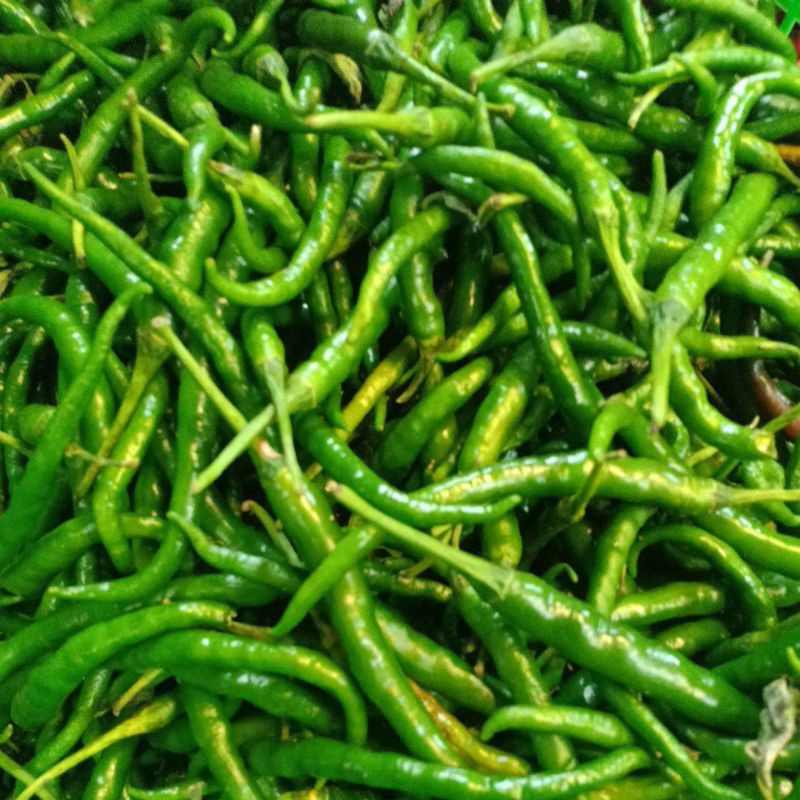 

Cabe Keriting Hijau Murah