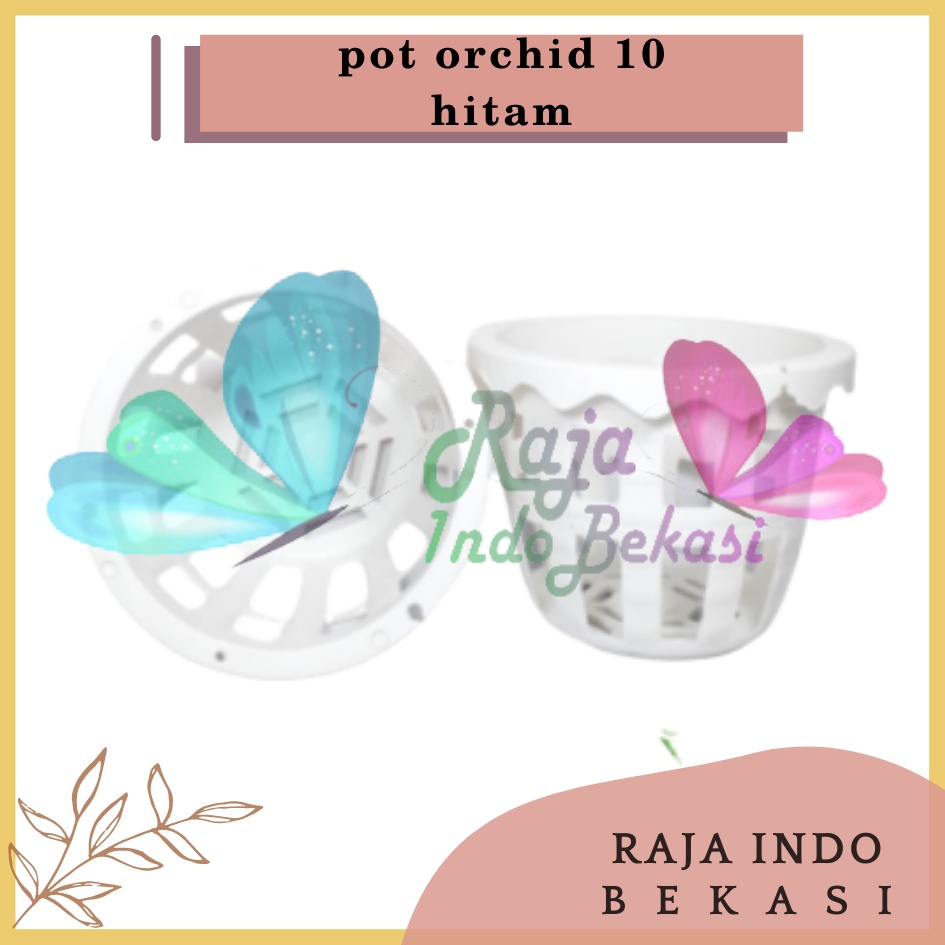 Pot Anggrek Orchid 10cm Putih Pot Anggrek Plastik 10 Cm Murah / Pot Anggrek Tempel Sabut Kelapa Kayu