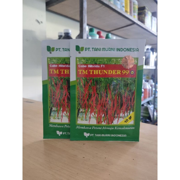 BENIH CABE KERITING F1 - TM THUNDER 99 - CABE HIBRIDA