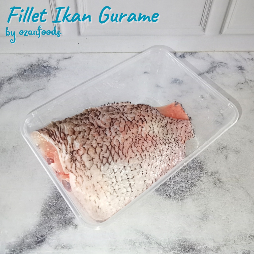 

Fillet Ikan Gurame 1 Ekor