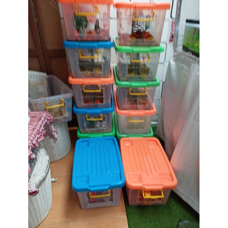 Kandang Box Besar Breeding Hamster / Landak Mini Handmade Nyaman Untuk Berkembangbiak FULLSET Box