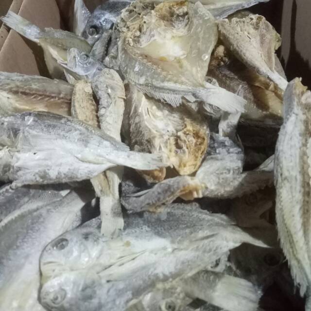 

Ikan asin sangge