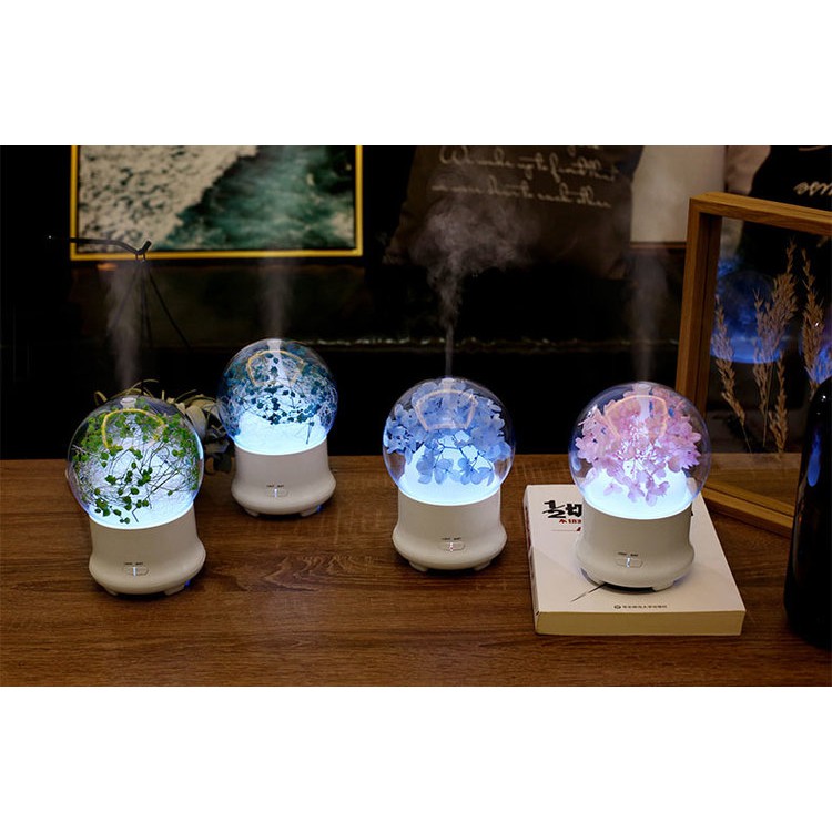 PRESERVED FRESH FLOWER AROMA DIFFUSER | Shopee Indonesia