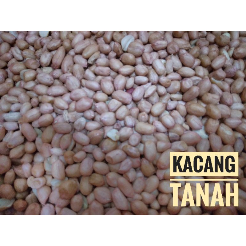 

Kacang Tanah 250g