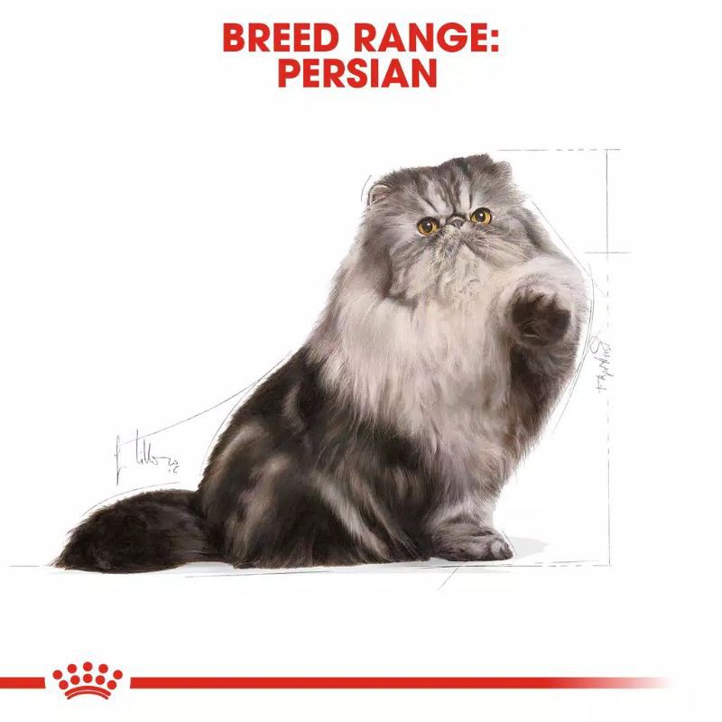 Royal Canin Persian 30 4kg Freshpack / Royal Canin Persian Adult 4kg / Makanan Kucing Persia Dewasa