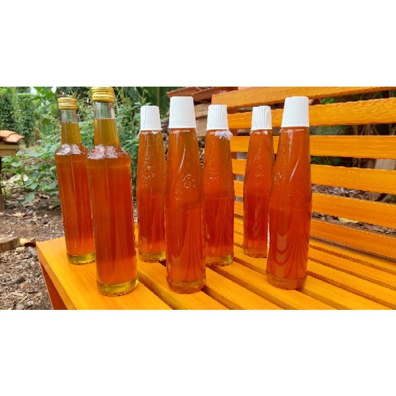 

Madu Tawon Murni madu hutan apis dorsata