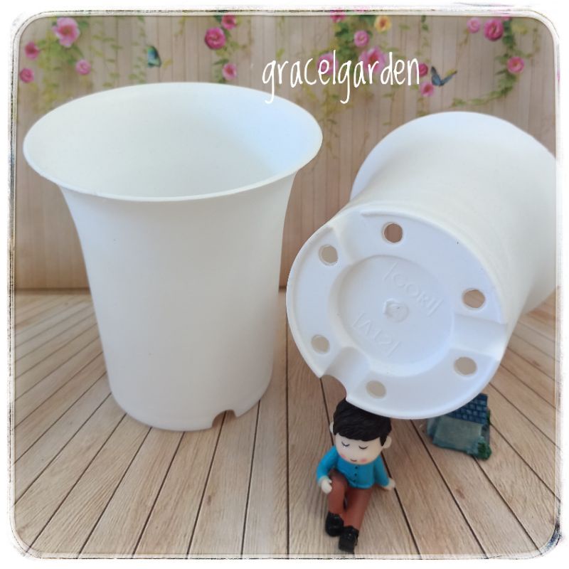 Pot 12 Gori A12C Bulat Putih Tanaman Kaktus Sanse Sukulen Mirip NKT