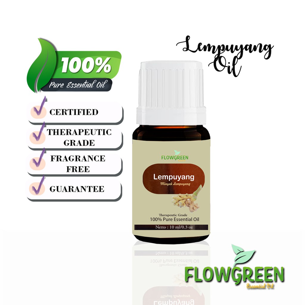 FLOWGREEN LEMPUYANG ESSENTIAL OIL DIFFUSER HUMIDIFIER