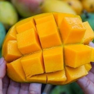  Mangga  Indramayu  manis fresh 1kg Shopee Indonesia