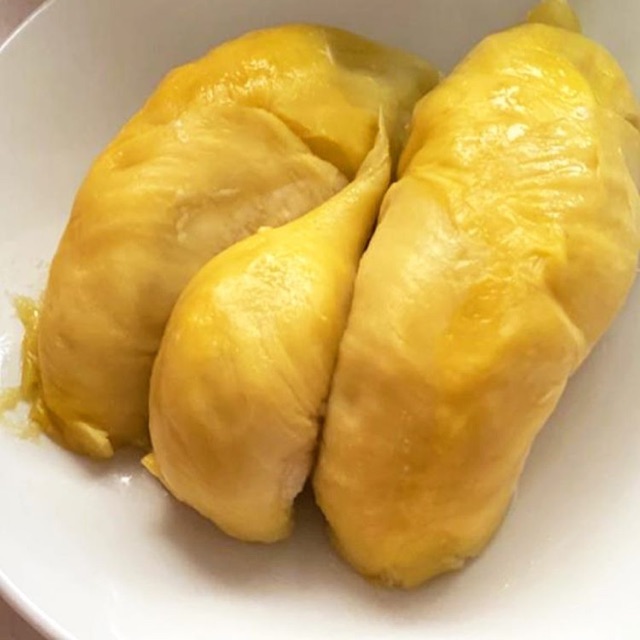 

Duren montong sulawesi