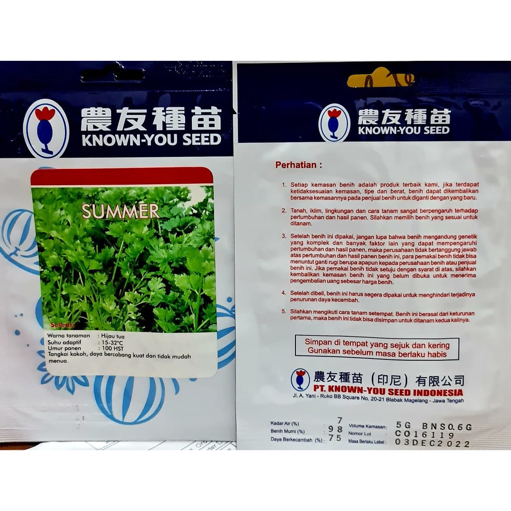 Benih Seledri Summer Green PACK KECIL 5GRAM KNOWN YOU SEED F1 Bibit Tanaman Sayuran Hidroponik