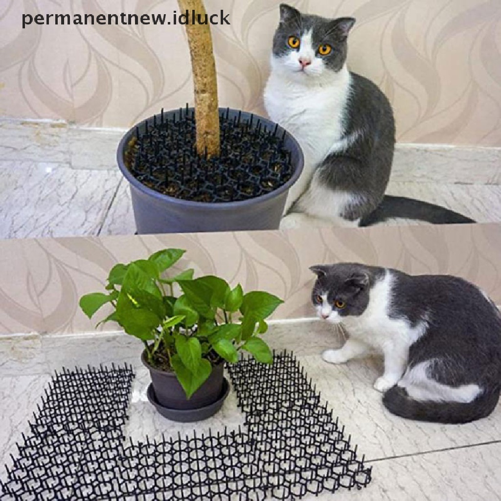 1 Pc Tikar Penolak Kucing Ukuran 13cm X 49cm Untuk Taman