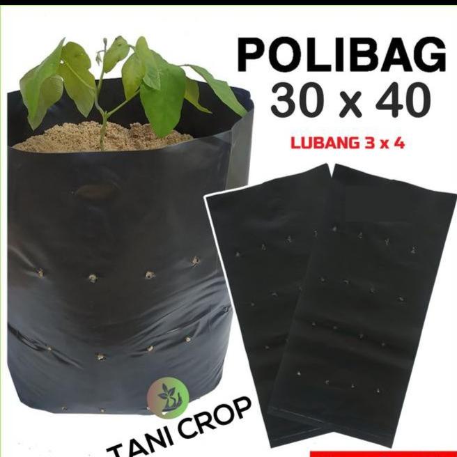 ((((()paling dicari] Plastik Polybag/Polibag Duduk/ Koker 30x40 cm 50 Lbr/ Pack