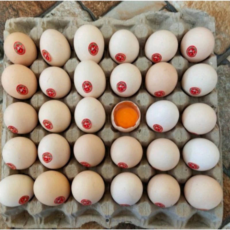 

Telur Ayam Kampung Omega Organik 1Pak (30butir)