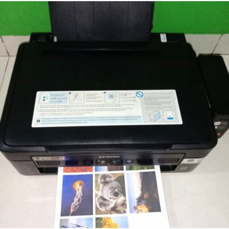 Printer epson L210 print scan copy
