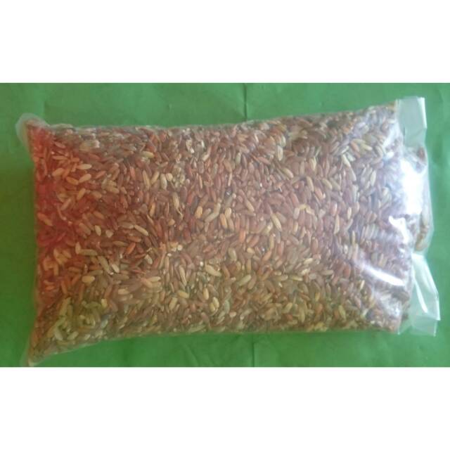 Beras Merah Pakan Ayam Bangkok Indonesia