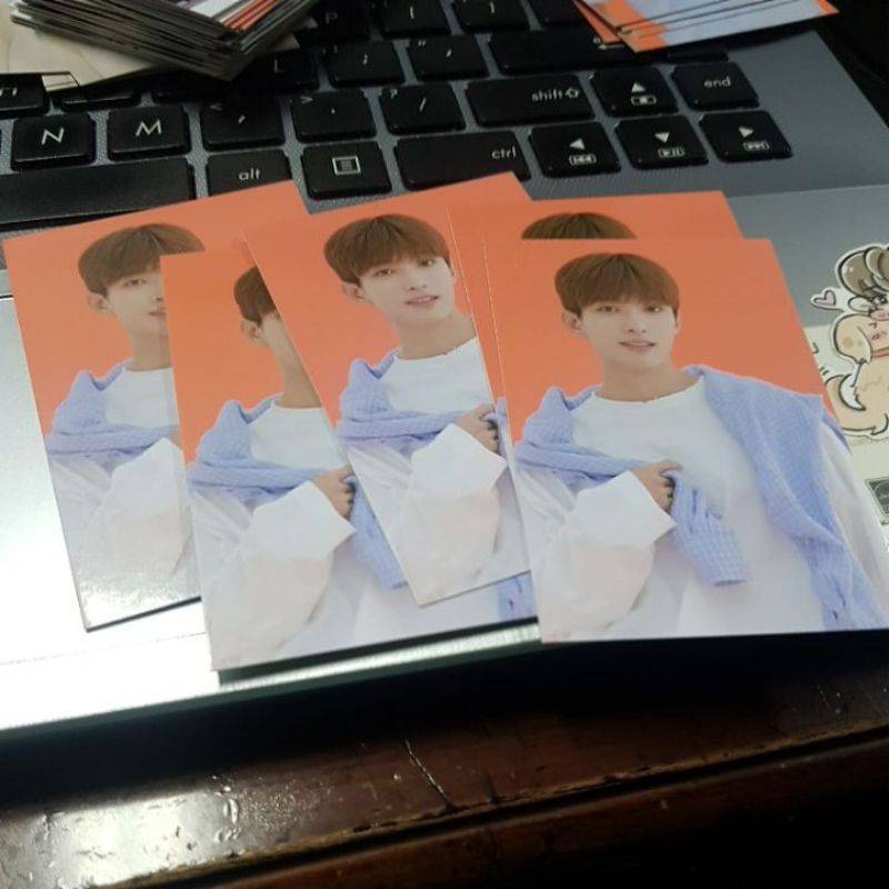 TC Caratland 2021 DK