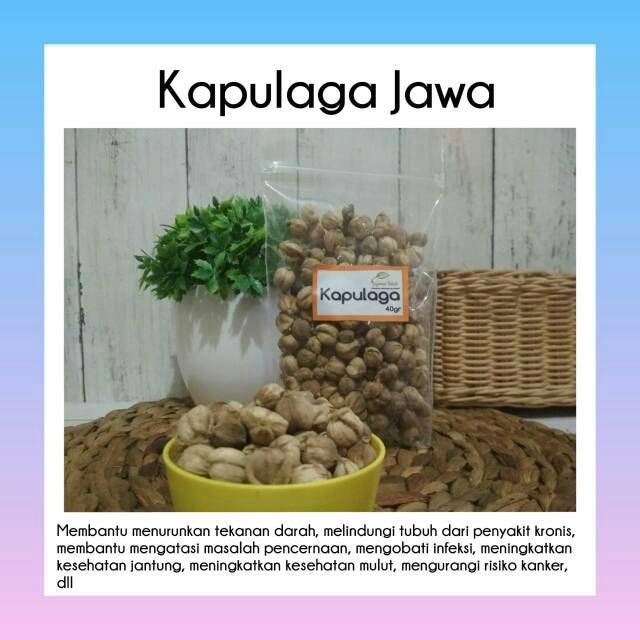 

Kapulaga Jawa 40gr