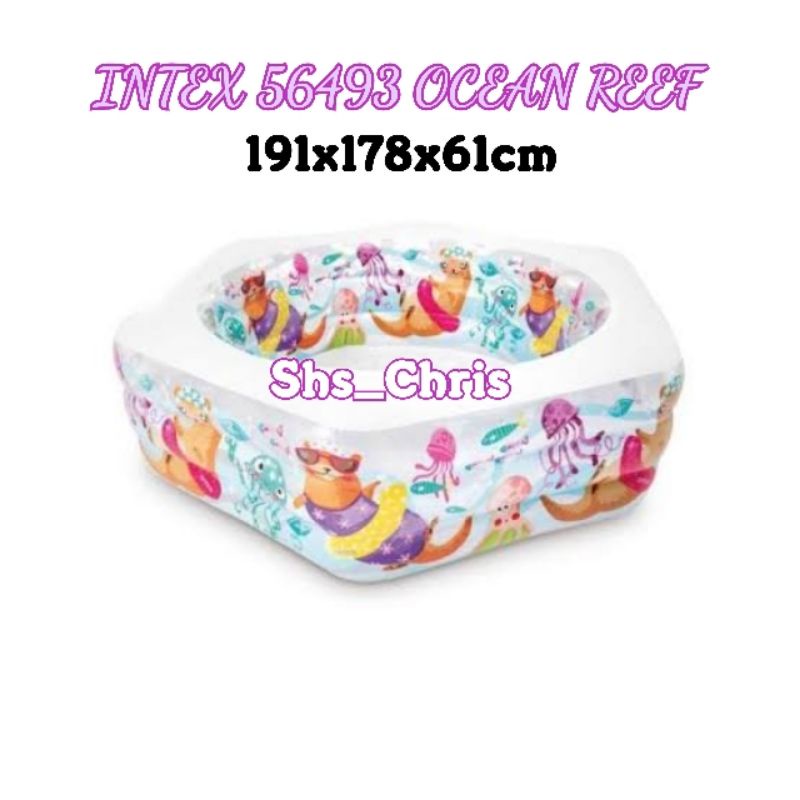 INTEX 56493 OCEAN REEF/ KOLAM ANAK INTEX