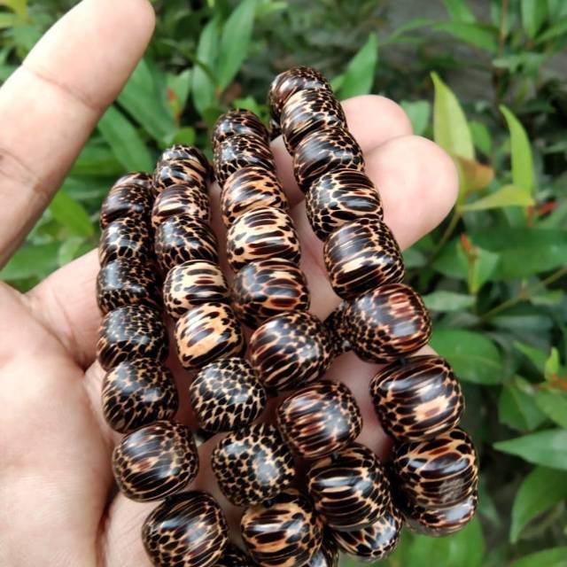 Gelang kayu liwung Gunung Lawu