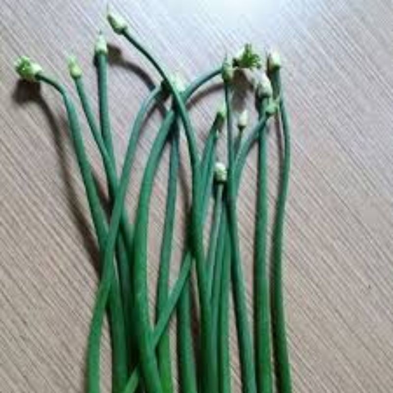 

ULATED/KEMBANG BAWANG/NIURAME