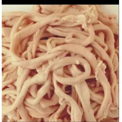 

usus ayam segar
