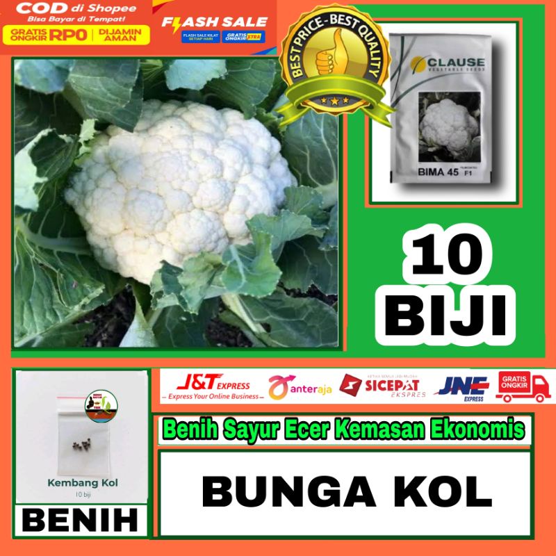 10 Benih Kembang Bima - Benih Sayuran Bunga Kol Putih Bima usia 40 Hari Panen -  Benih Sayur Kemasan