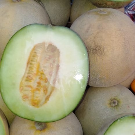 

Melon madu 1 kg termurah pasar sayur jimbaran bandungan semarang