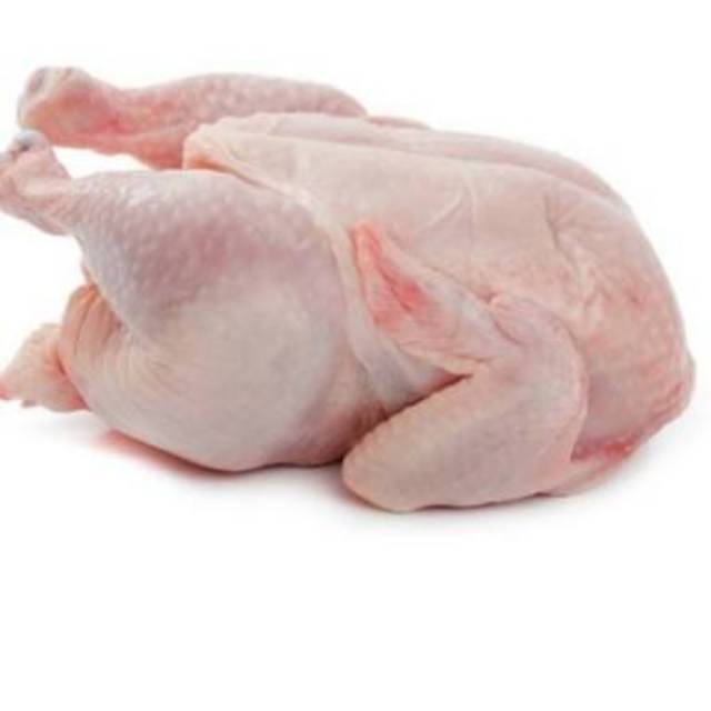 

Ayam potong 1000gr
