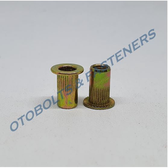 Rivet Nut M4 / Insert Nut / Mur Rivet / Nutsert / Mur Tanam