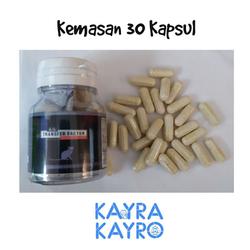 TF Plus 30 Kapsul - Obat Virus Flu Kucing/Cat/Feline