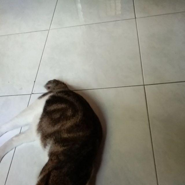 Maxy Cardy Outer Batik Wanita Batik Maura Kardigan Couple