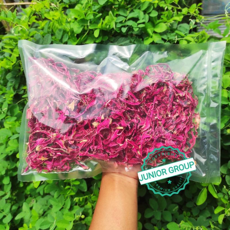 

KULIT BUAH NAGA KERING 500 GRAM