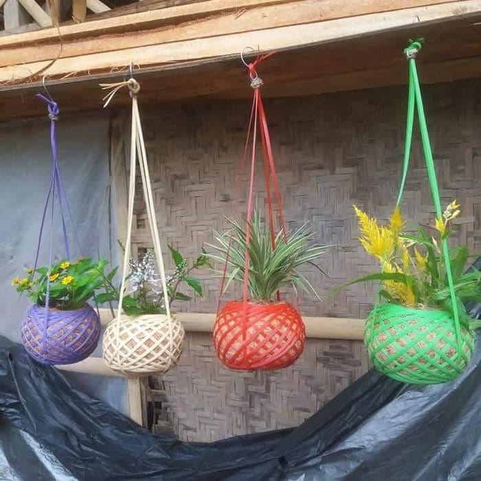  POT  ANGGREK MINI SABUT  KELAPA  COCOFIBER aZ Shopee Indonesia