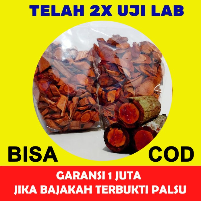 KAYU BAJAKAH ASLI KALIMANTAN OBAT KANKER TUMOR GANAS
