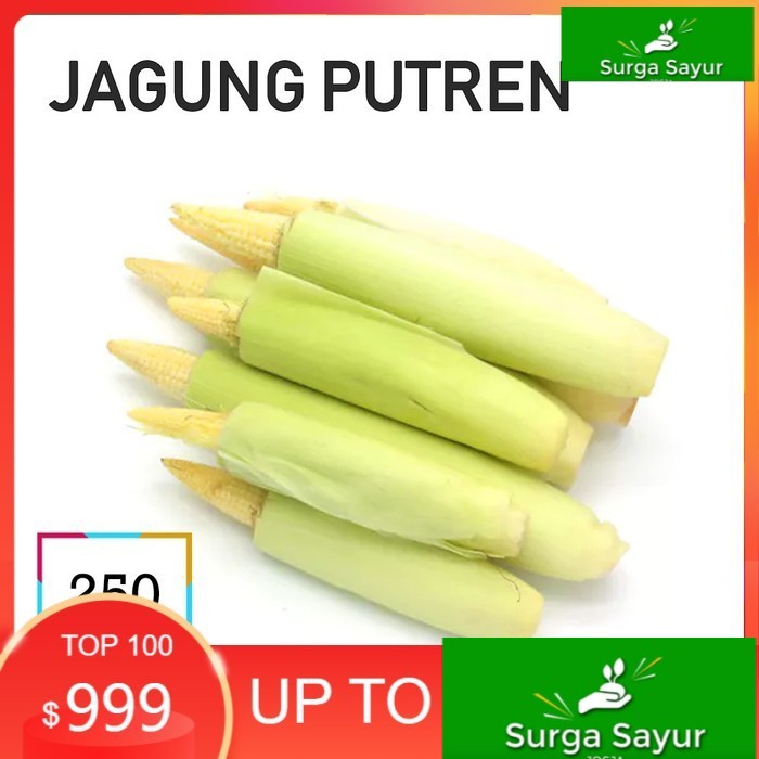 

SURGA SAYUR JAGUNG PUTREN SAYUR [250g] SEJABODETABEK BISA KIRIM INSTANT DGN GOSEND/ GRAB