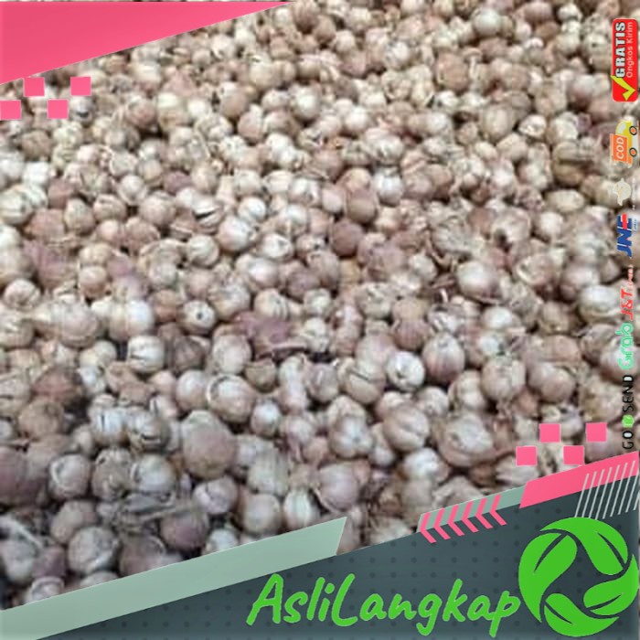 

terbaru kapol kapulaga kering 1KG segar