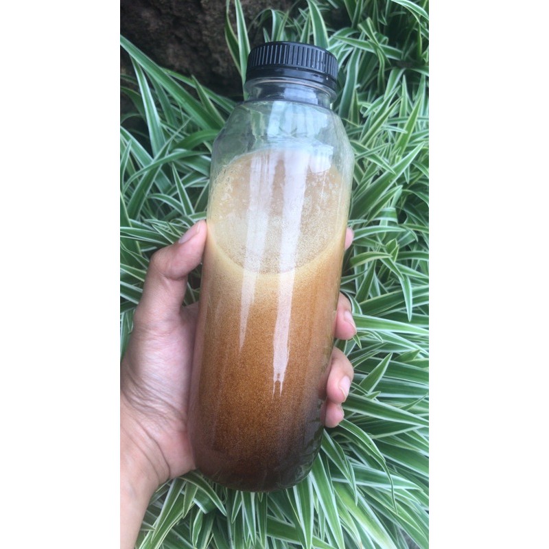 

madu hutan Sumatera garansi uang kembali