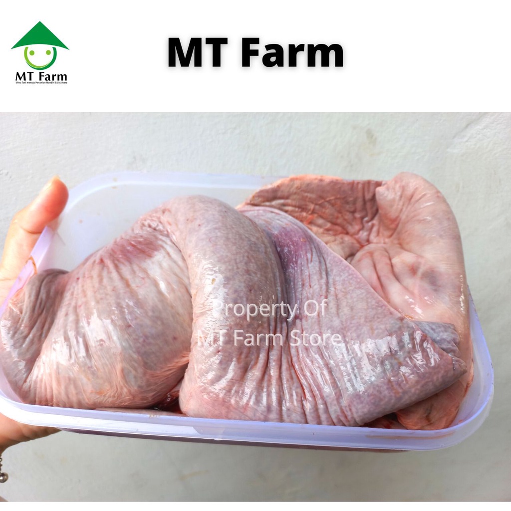 

Limpa Sapi Segar 1 Kg Daging Limpa Sapi Segar