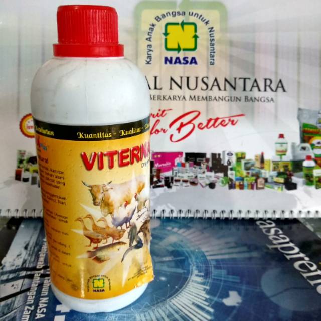 VITERNA NASA