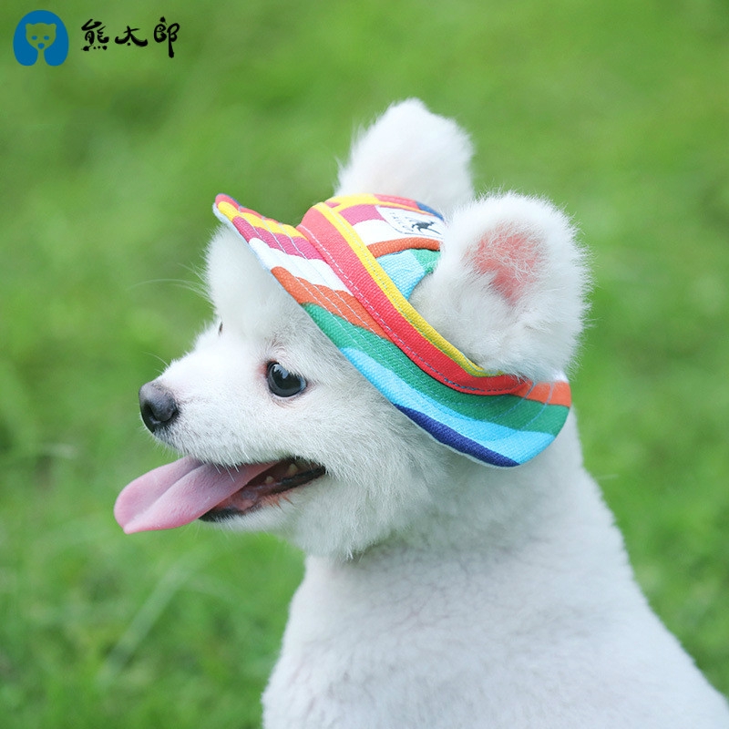 Topi Desain Beruang Talas Bahan Mesh Breathable Untuk Anjing