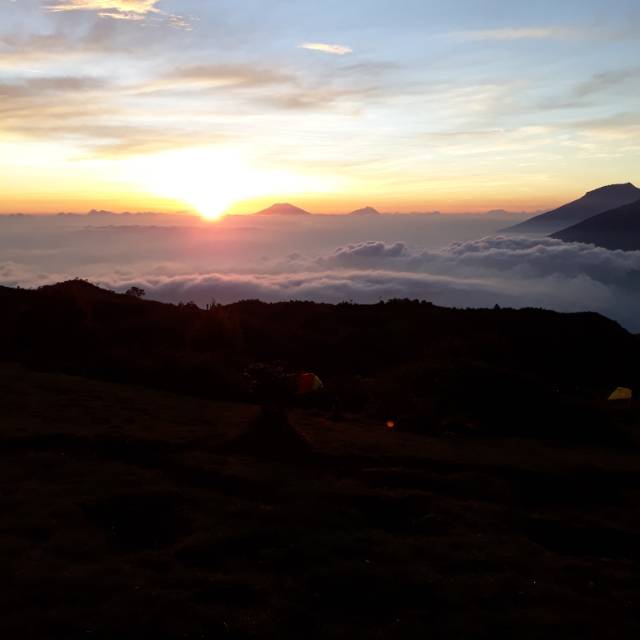 cholismajidputrakurawa