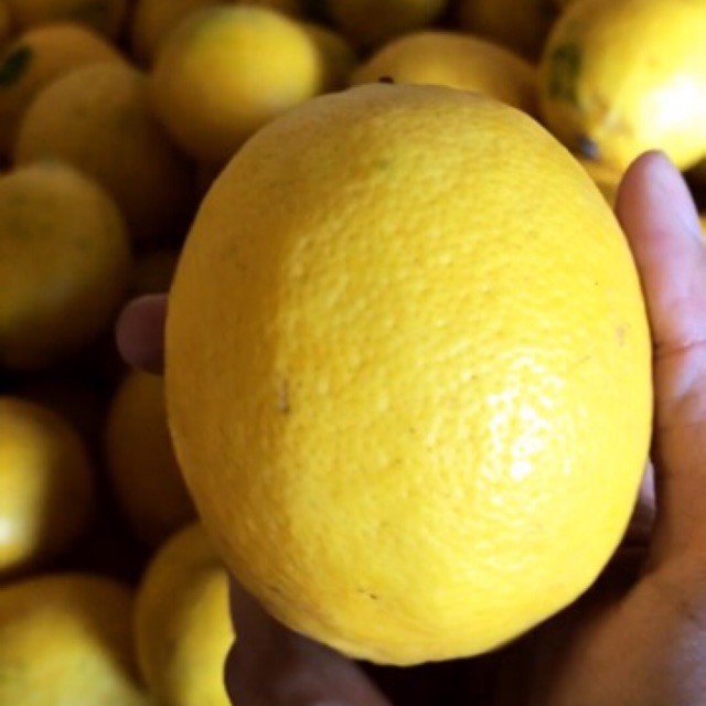 

Lemon California Grade AB