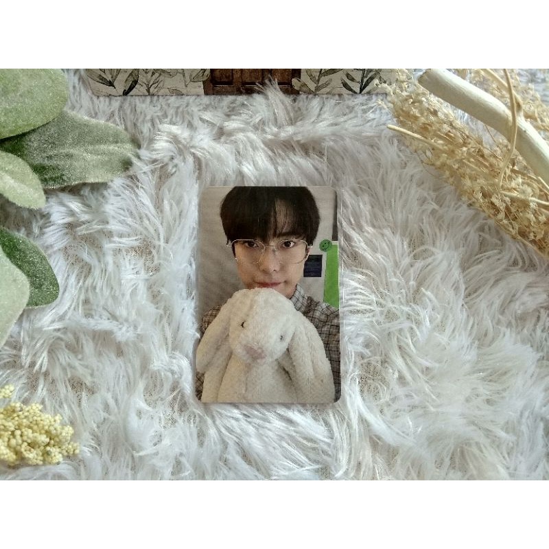 [ready] PC DOYOUNG STICKER (BONEKA)