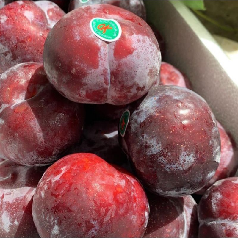 

BUAH PLUM / PLAM IMPORT FRESH 1KG
