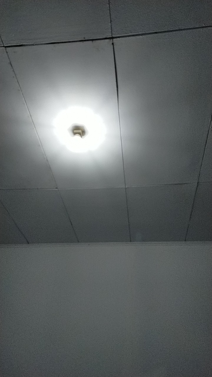 Bakul Telur Plastik/keranjang Buah Plastik /besek Nasi Plastik Ukuran 26cm